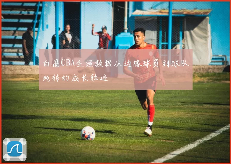 白晶CBA生涯数据从边缘球员到球队轮转的成长轨迹