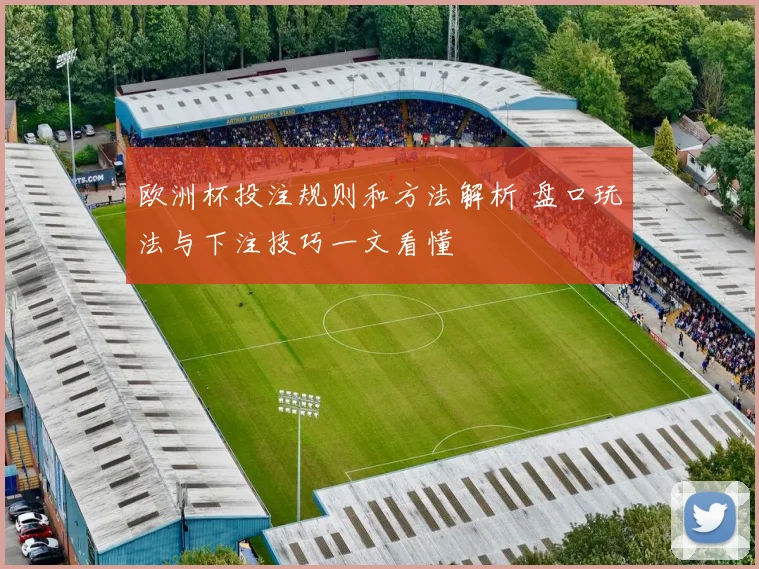 欧洲杯投注规则和方法解析 盘口玩法与下注技巧一文看懂