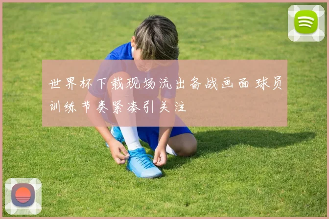 世界杯下载现场流出备战画面 球员训练节奏紧凑引关注