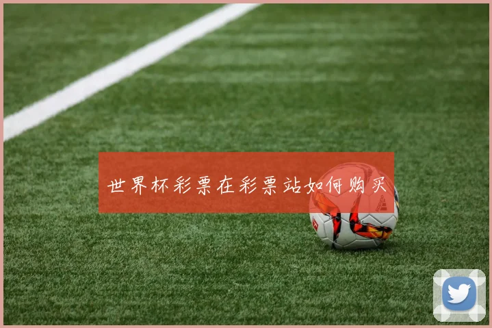 世界杯彩票在彩票站如何购买