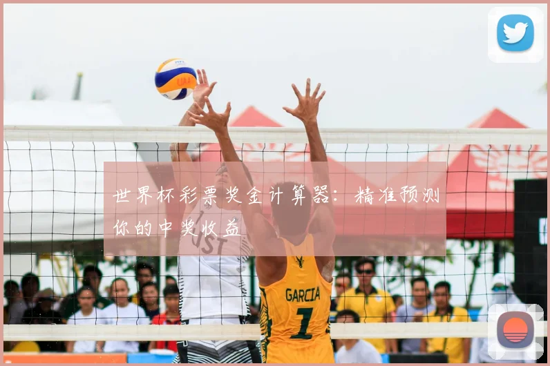 世界杯彩票奖金计算器：精准预测你的中奖收益