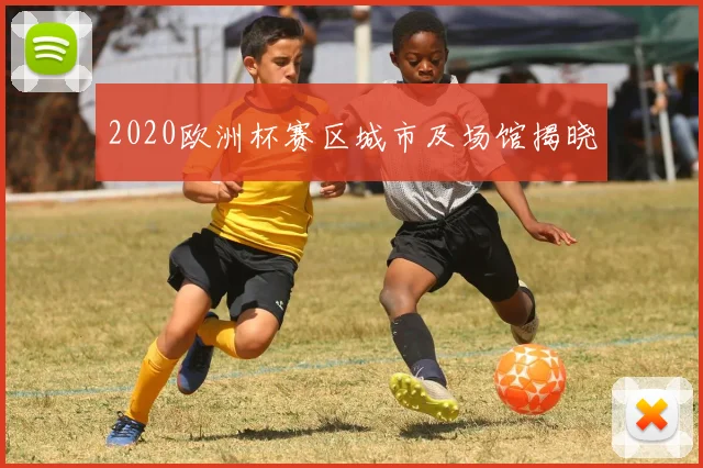 2020欧洲杯赛区城市及场馆揭晓