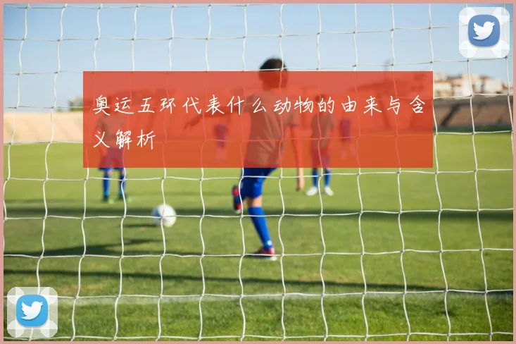 奥运五环代表什么动物的由来与含义解析