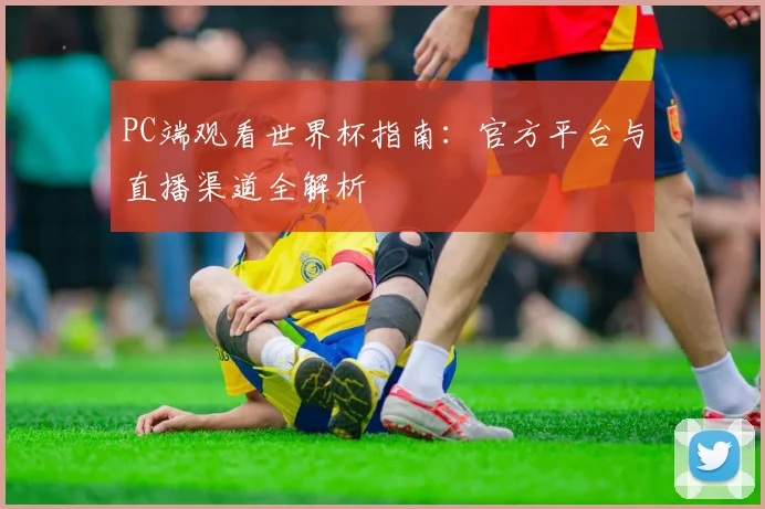 PC端观看世界杯指南：官方平台与直播渠道全解析