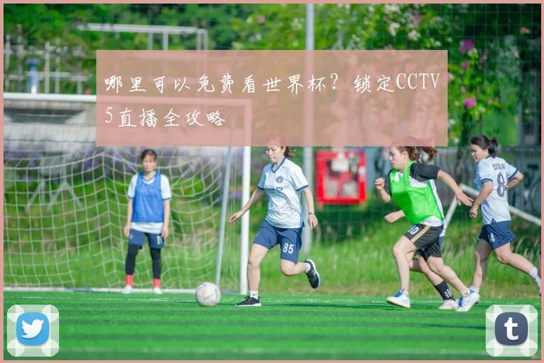 哪里可以免费看世界杯？锁定CCTV5直播全攻略