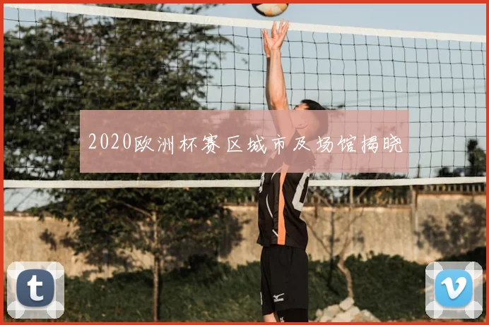 2020欧洲杯赛区城市及场馆揭晓