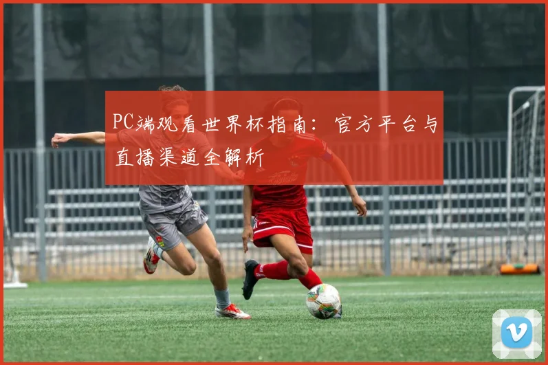 PC端观看世界杯指南：官方平台与直播渠道全解析